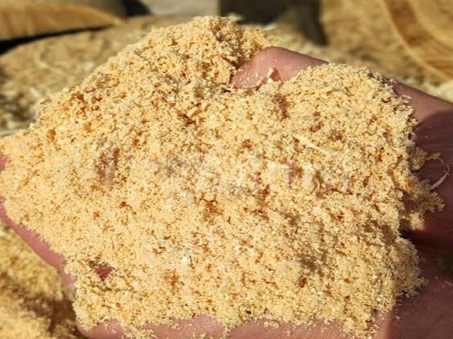 Sawdust