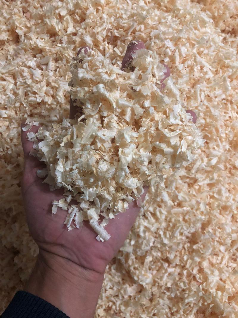 Wood Shavings