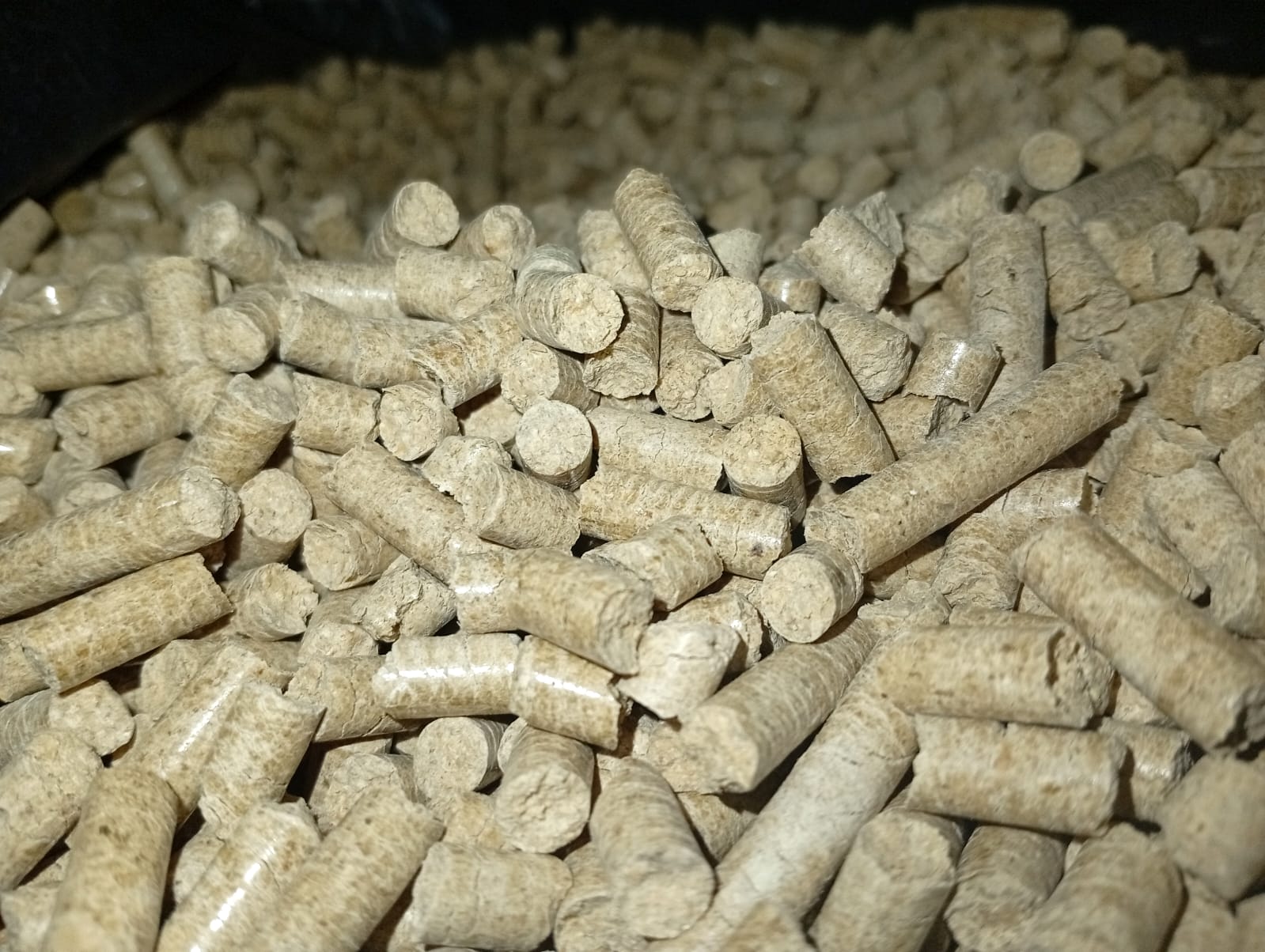 Cat Litter Wood Pellets 