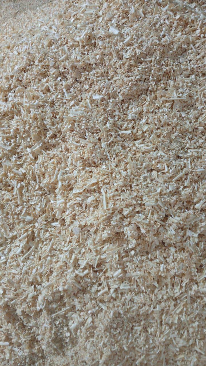 Wood Shavings 